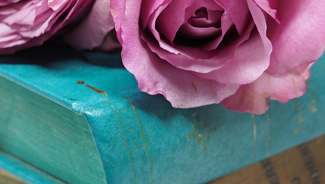 Pexels jessbaileydesign 827107